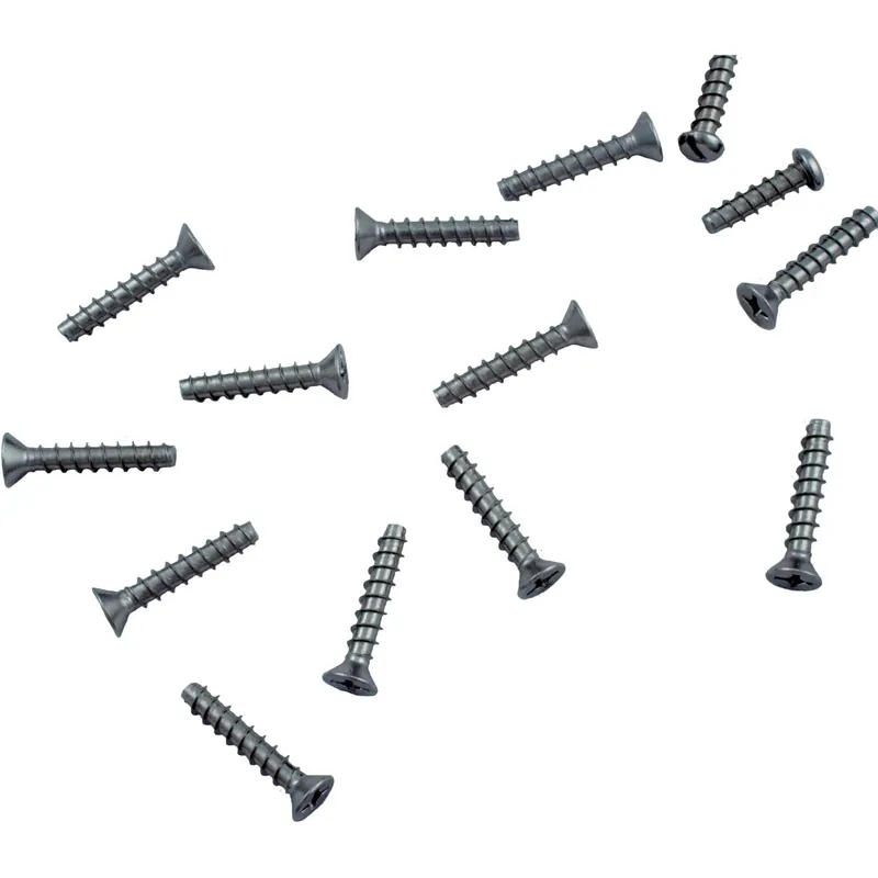 Screw Kit, Hayward SP1076/1084 Skimmer, Faceplate, Long Budget