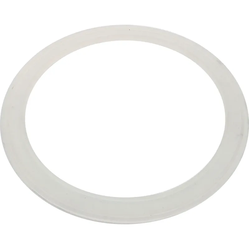 Gasket, Pentair Eclipse, Valve, 5-3/4"ID, 7"OD Clearance