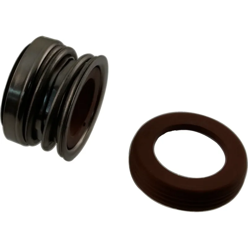 Shaft Seal, Pent StaRite IntelliPro/MaxEPro,3/4" Shaft,Viton Same Day Shipping