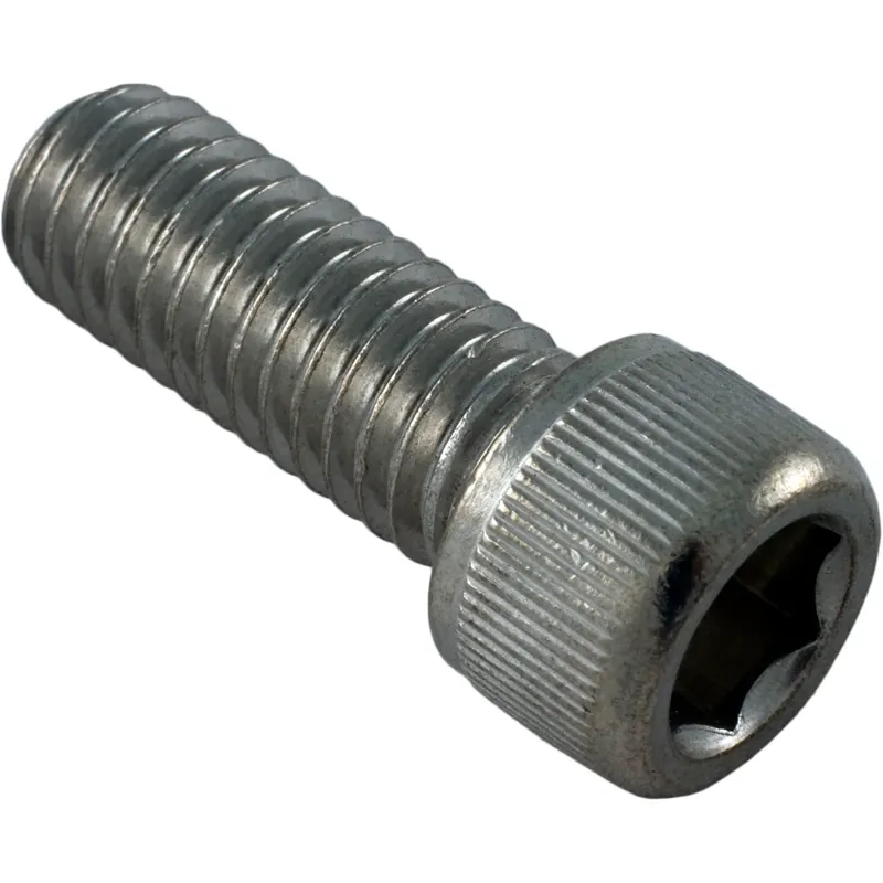 Screw, Pentair Sta-Rite, 3/8-16 x 1", Socket In Demand