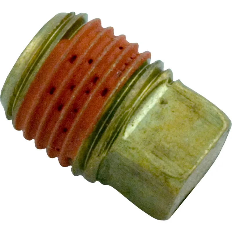 Bargain Drain Plug, Pentair Sta-Rite CF6, 1/4"