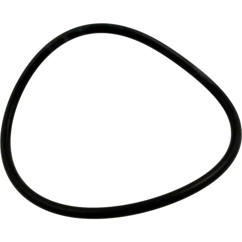 O-Ring, Pentair PacFab Hydro 700, Trap Lid, O-302 Budget