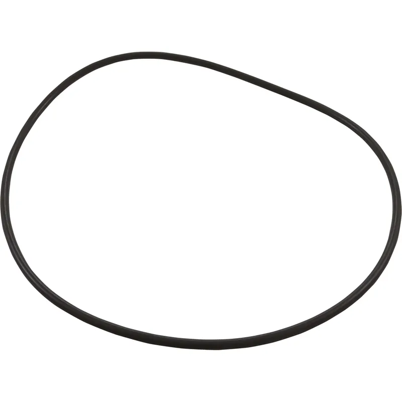 Holiday Sale O-Ring, Hayward HCP, Flange
