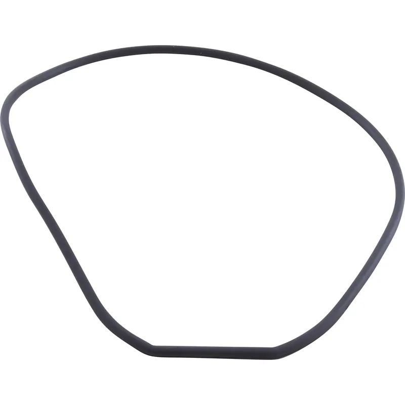 Weekend Sale Gasket, Waterway SVL56, Seal Plate, Special