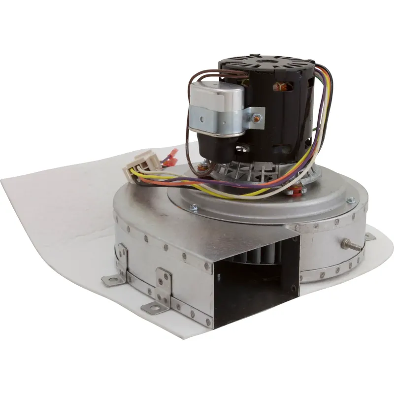 Blower, Pentair Minimax NT 200, with Gasket Today Only