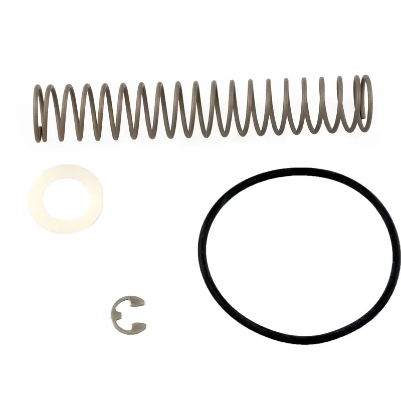 Bypass Spring, Zodiac Laars LX/LT, LX/LT Low NOx Top Pick