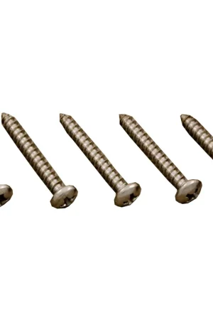 Best Choice Screw, 5 Pack, Pentair Letro JV105 Cleaner, Deflector