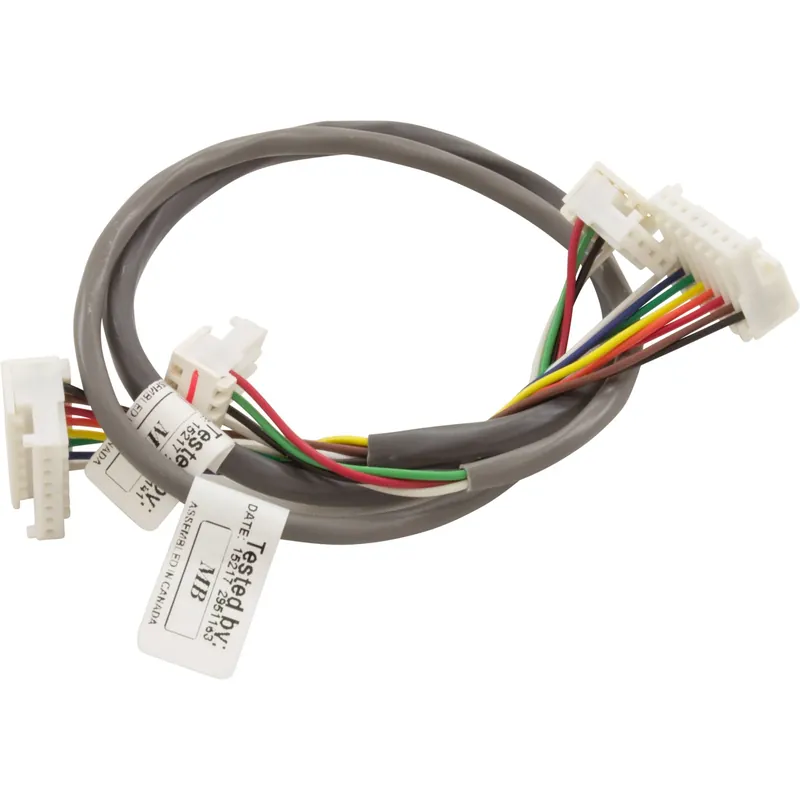 Holiday Sale Magnetic Switch Box:01720-0004 for a Dimension 1 Spa
