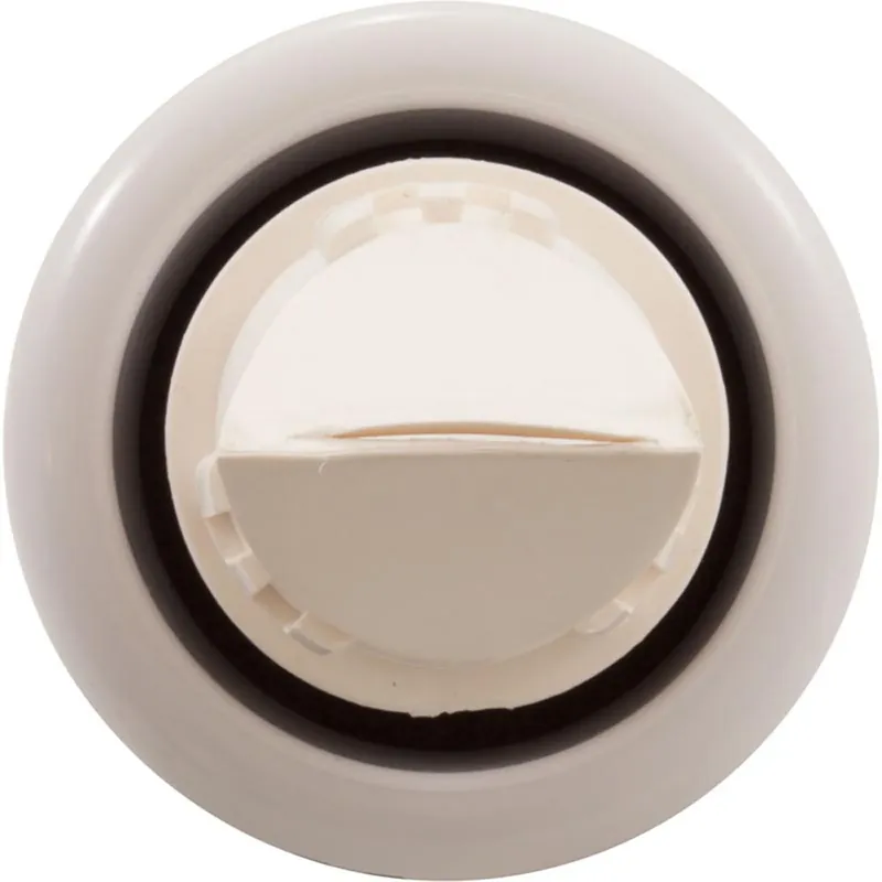 One Day Deal Jandy Pro Series Assembly, End Cap And Valve