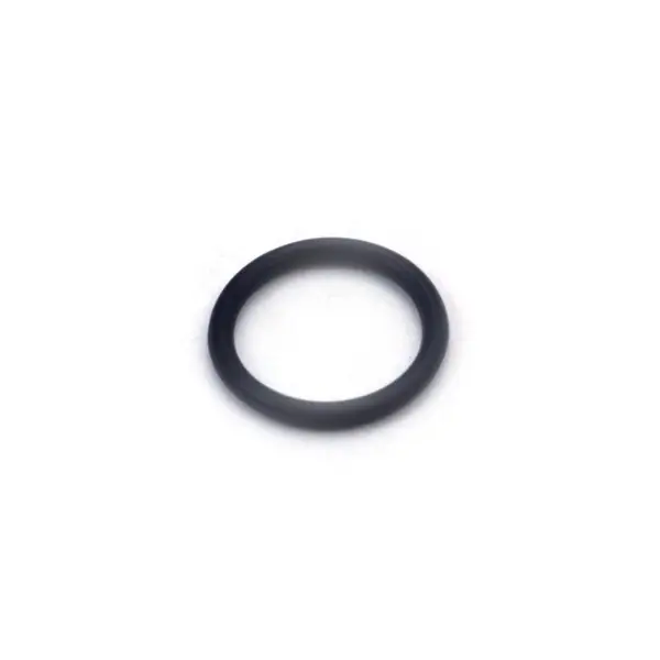 Budget O-Ring, Air Control, Waterway Straight Nut & Gunite : 805-0116EP