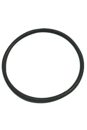 Last Chance O-Ring for 3-Way Waterfall Valve : 6000-506