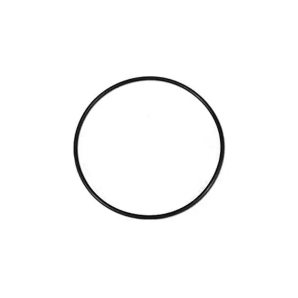 Price Drop O-Ring, Valve, Magic, Spring Check Valve, 2" : 0301-154